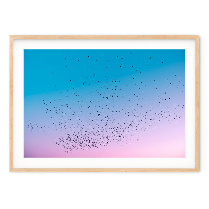 Étourneaux au crépuscule, Naturel, H 29 po x l 40 po