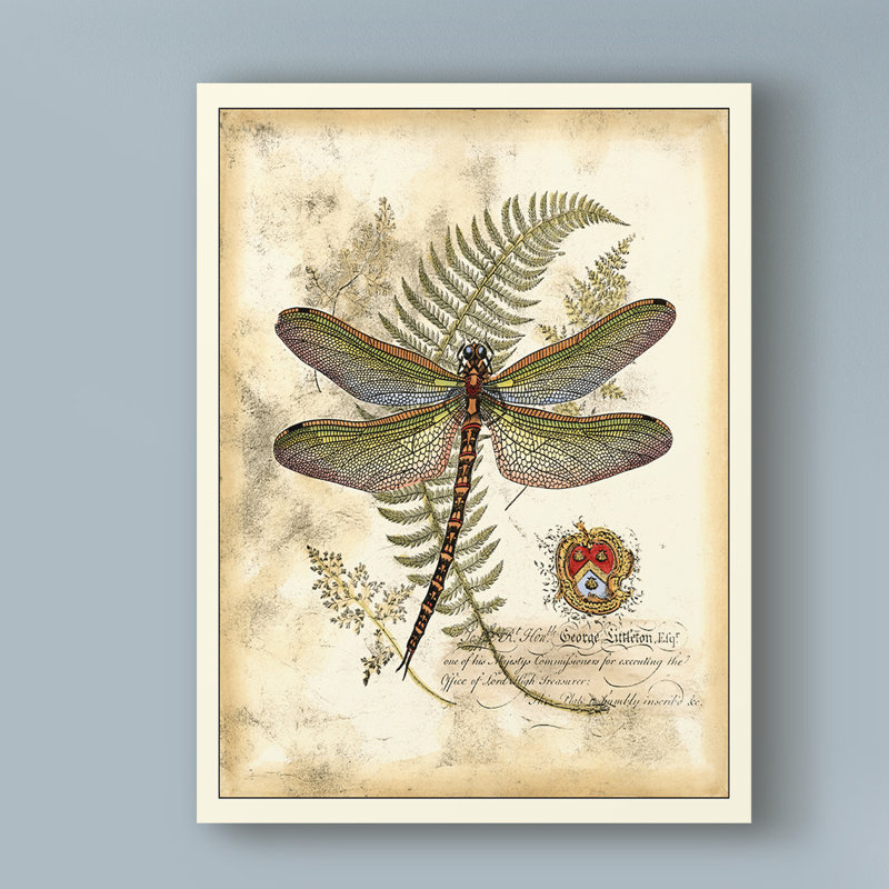 « regal libellule i », reproduction d’impression sur toile tendue, H 19 po x l 14 po x P 2 po