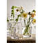 Anemone Vase, Medium-71179471