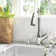 Peerless Apex Pull Down Kitchen Faucet with Soap Dispenser