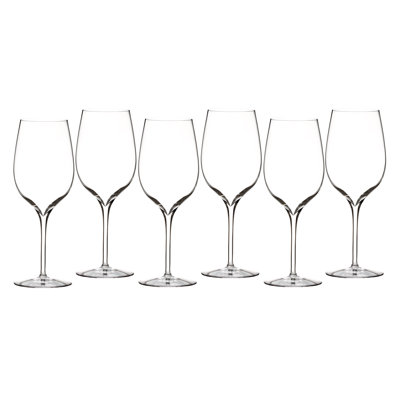 Elegance 14floz Wine Tasting Glass