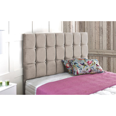 Higgenbotham Upholstered Velvet Headboard
