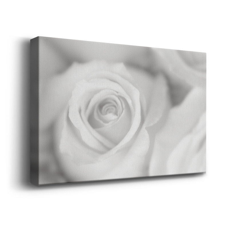 Rose Studies II " Rose Studies II ", 18" W x 12" H