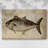 Big Catch II -Gallery Wrapped Cavas-1300203883