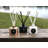 Reed Diffuser Set and Sticks, Scented-101531483-61694681