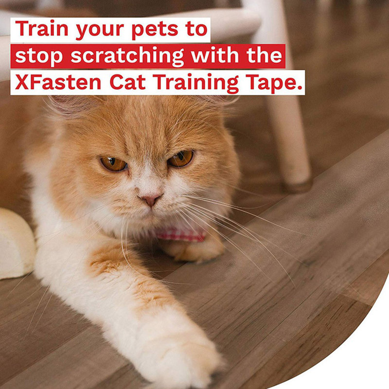 Ruban adhésif anti-griffes pour chat 2 bandes