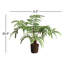 Georgia Faux Fern Plant-168745442