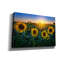 «Aroostook Sunset» par Rick Berk, art mural sur toile-654793127