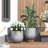 Signature Genao 1-Piece Fiberstone Bullet Planter For Indoor/Outdoor-656924877-656924872