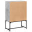 Aanvi Steel Rectangle Accent Cabinet-1763828321