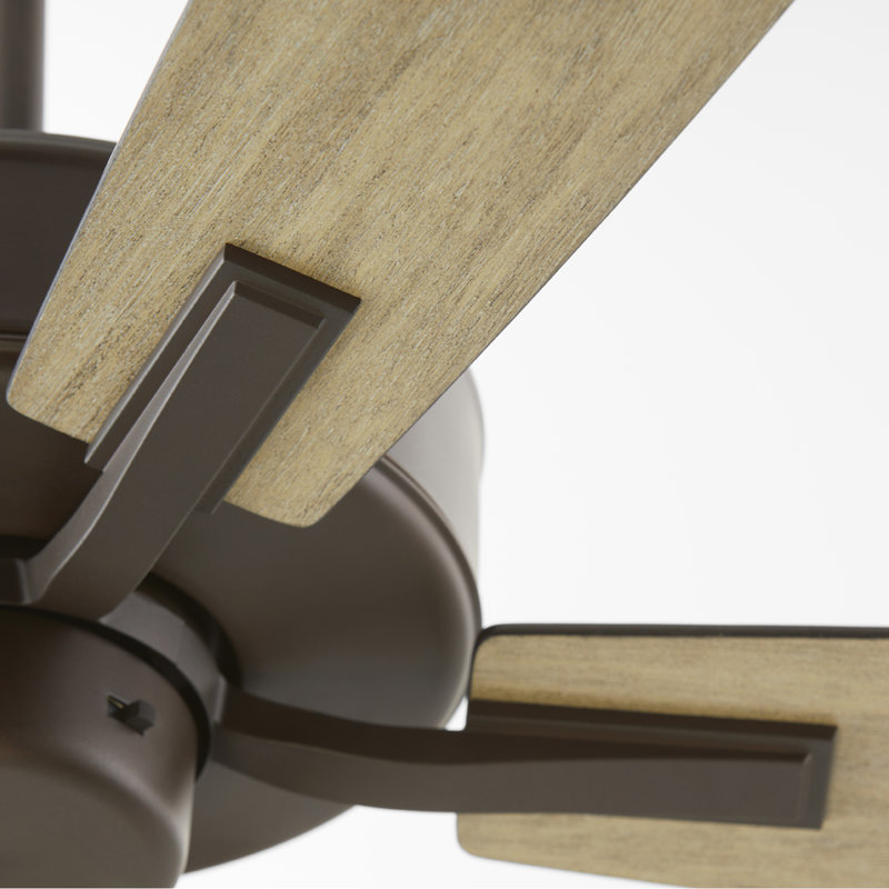 Brasuell 60'' Ceiling Fan, Bronze/Weathered Oak
