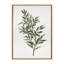 «Ruscus» par Patricia Shaw, reproduction d'art sur toile encadrée-692625270-692625256