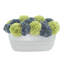 Assorted Sedum in Ceramic Pot