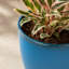 Pot à fleurs en résine synthétique moderne avec soucoupe et écran de drainage (ensemble de 2)-2020441386-2020441391-2020441385