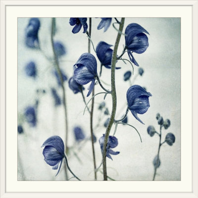 'Deadly Beauty Print