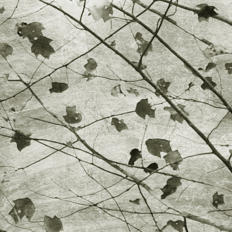 Laced Sky II by Sharon Chandler - Wrapped Canvas Print, 122cm H x 122cm W