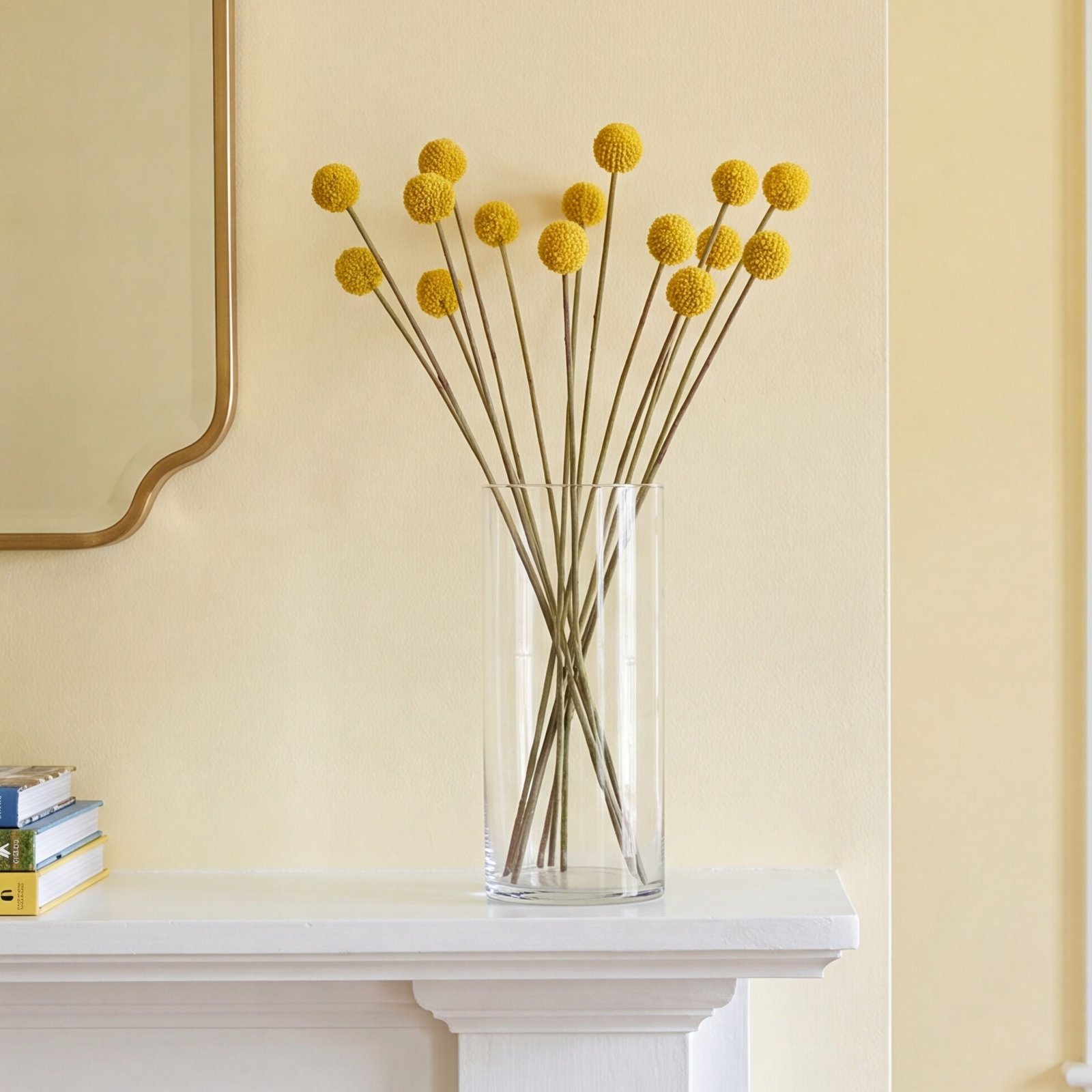 Billy Button Stem, Yellow