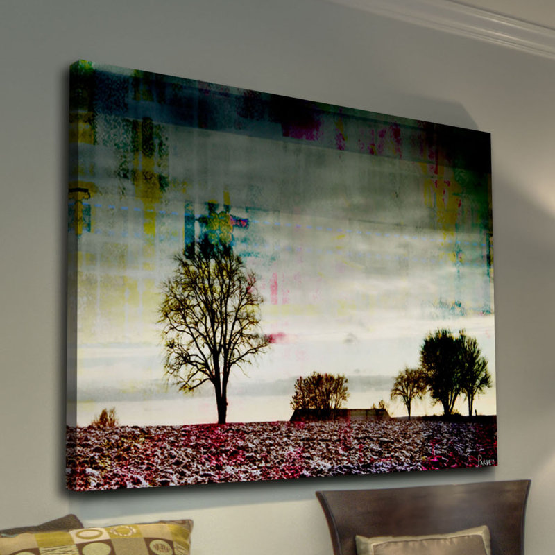 Parvez Taj - Wrapped Canvas Print, 30cm H x 45cm W x 5cm D