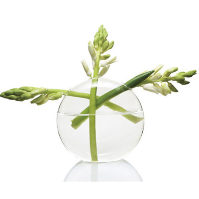 Glass Table Vase