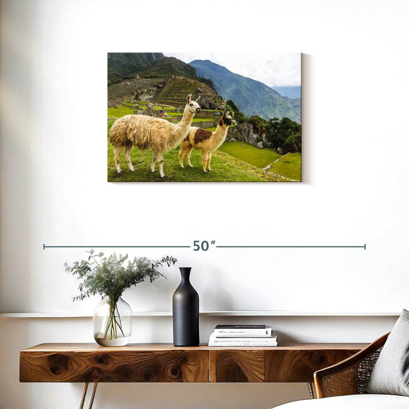 Lamas du Machu Picchu, H 20 po x l 30 po