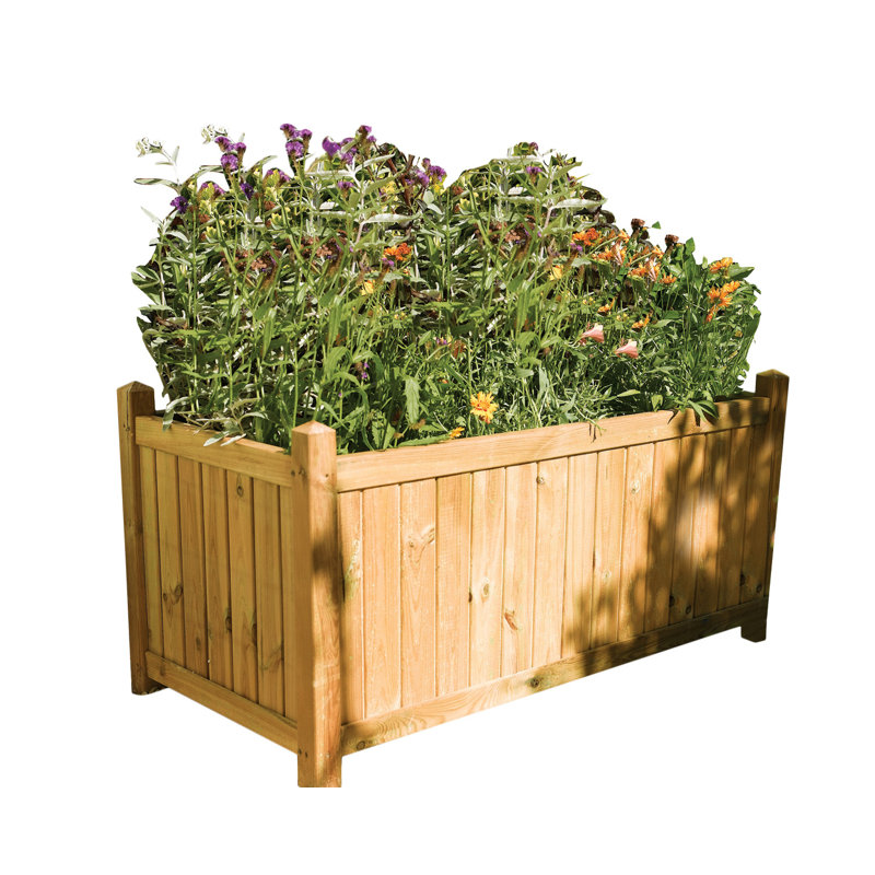 Rowlinson Rectangular Planter