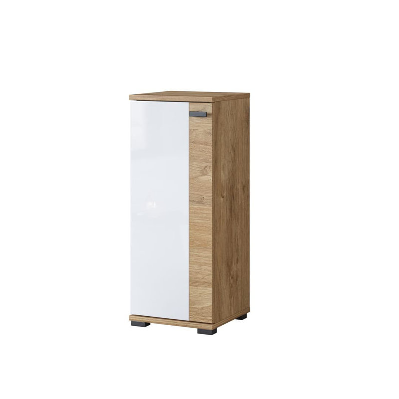 Shorena Wall Mounted Bathroom Cabinet