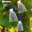 Sacs de protection des fruits-100000682
