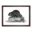 Beaver in Black and White 1 Piece Single Picture Frame Wall Art-55544065-55544061