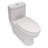 Ceramic One Piece Toilet