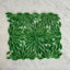 Green/Boston Ivy