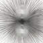 Radiant Silver, impression sur toile tendue-19750408-74735904-74735909