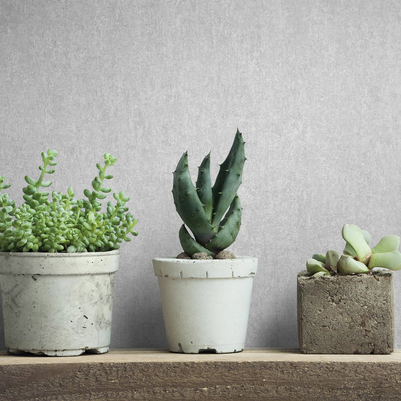 City Romance Collection Distressed Concrete Wallpaper Roll, Sand