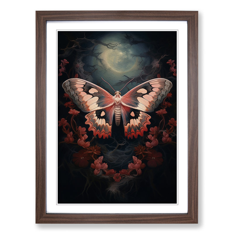 Moth Romanticism - Single Picture Frame Print on Wood, Walnut Framed, 34cm H x 25cm W x 2cm D