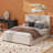 Upholstered Platform Bed with 2 Drawers and 1 Trundle, Classic Headboard Design-1223924938-1223924937