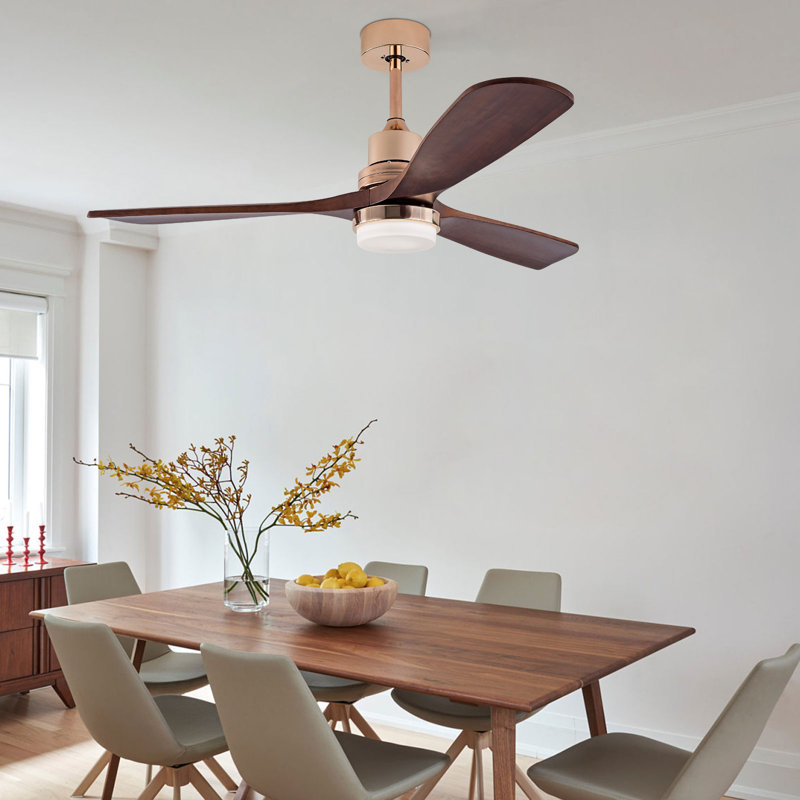 Ventilateurs de plafond intérieurs avec lumières, luminaires de ventilateur de plafond