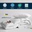 Édredon en duvet de plumes et bourre de duvet 100% coton-115286296