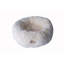 Lit rond pour chat-50918138