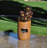 Shaler Weather Resistant Floor Fountain with Light