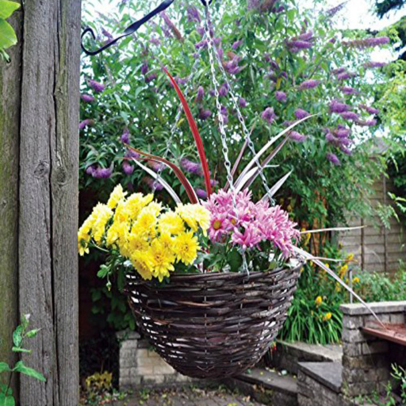 Harnden Hanging Planter