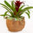 Advitha Handmade Pot Planter
