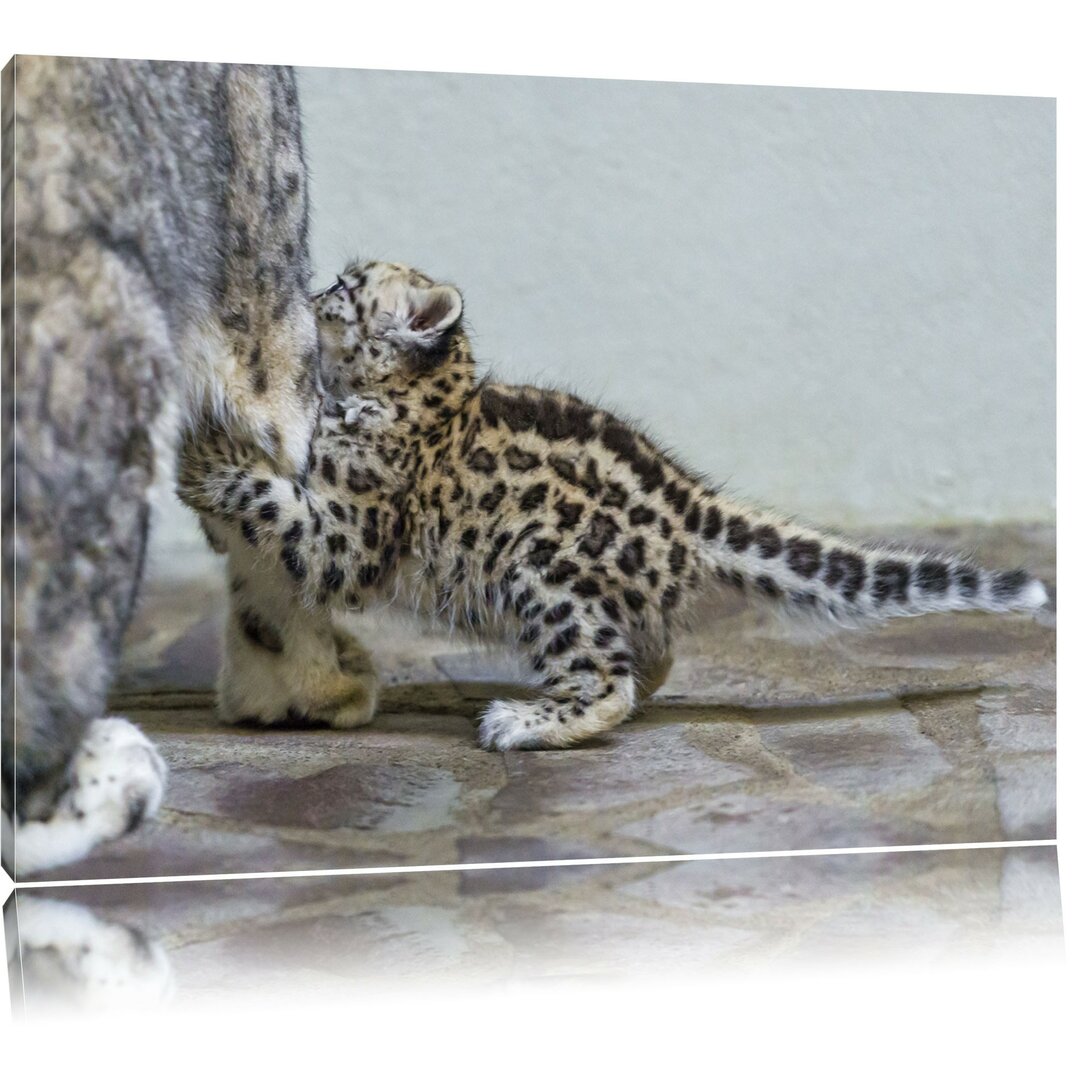 Leinwandbild Kleiner Leopard beim Spielen