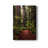 " Forest Path I "-635407373