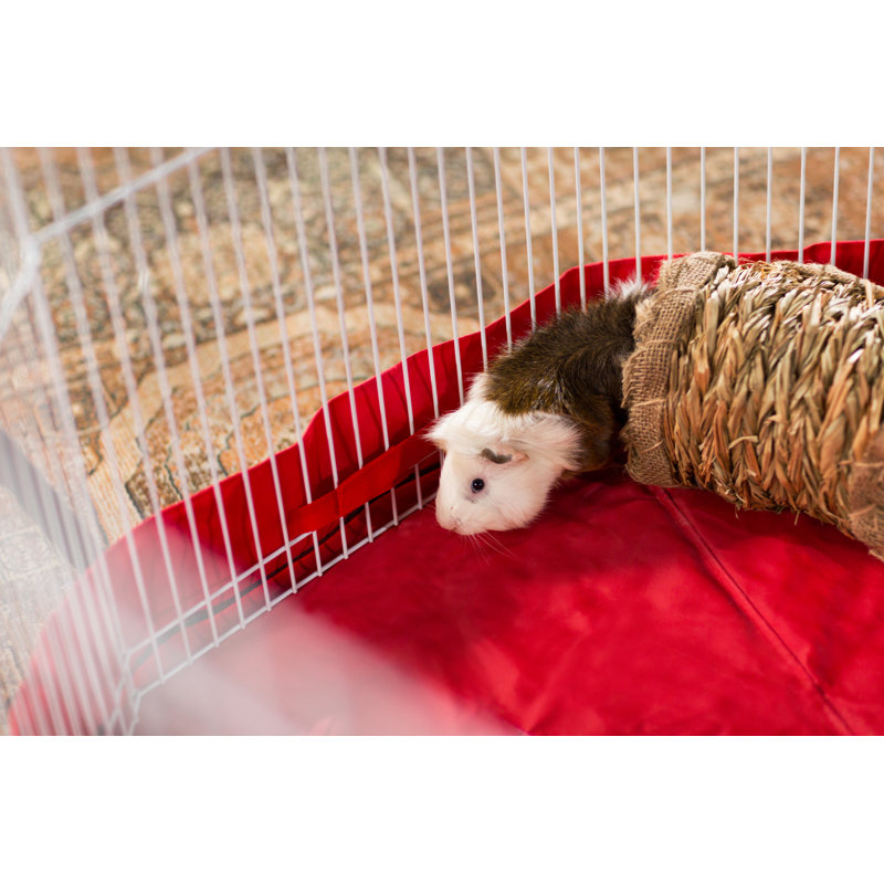 White Metal 8-Panel Small Animal Playpen