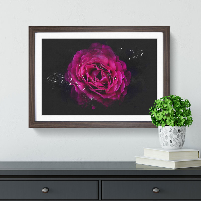 Fuscia Pink Carnation - Picture Frame Graphic Art Print, 24cm H x 33cm W x 2cm D, Walnut Framed