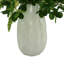 Budding Hydrangeas and Boxwoods Arranged in a Ceramic Vase