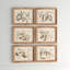 «Maplewood Fruit Bearing Branch», ensemble de 6 reproductions d'art sur papier encadrées