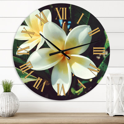 Horloge murale traditionnelle Hawaian Frangipani