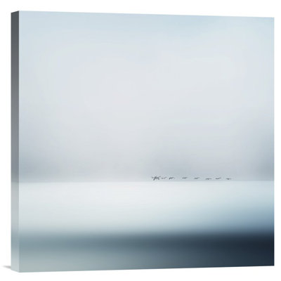Straub Wild Geese by Piet Flour - Photograph Print