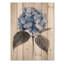 Hydrangea In Monochrome Garden II - Hydrangea Wood Wall Decor - On Natural Pine Wood-1160898852