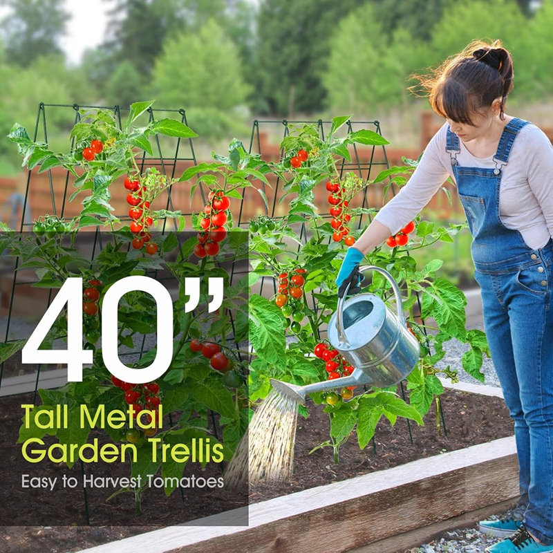 Treillage pour jardin surélevé Rifny